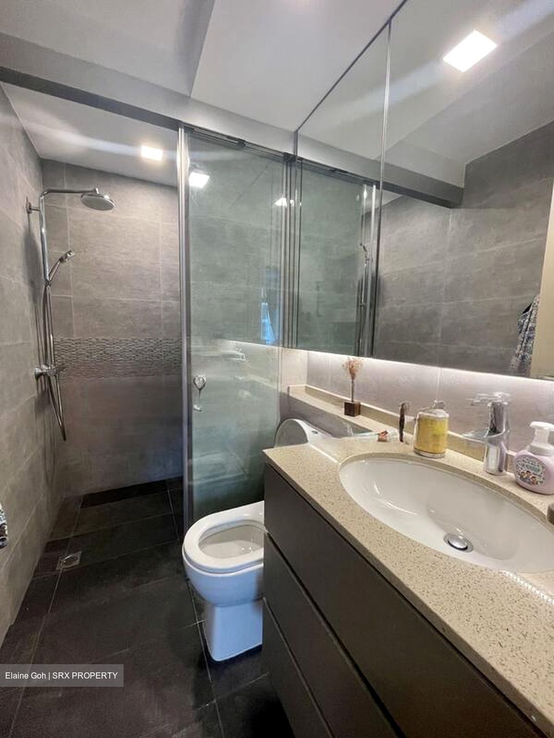 Spring Grove (D10), Condominium #479944541